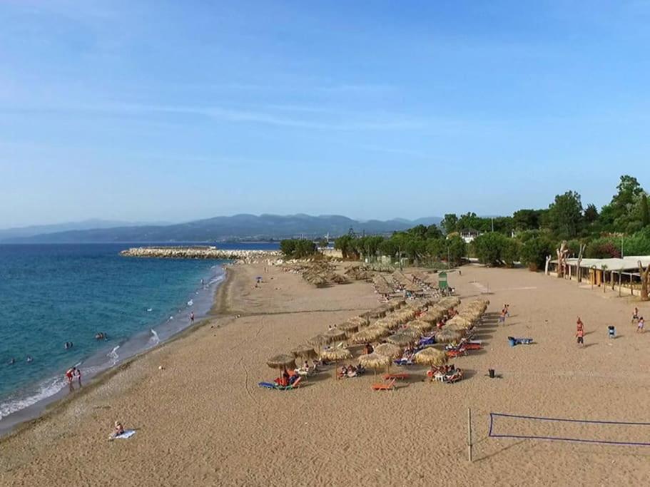 Apartamento Στούντιο Σε Πέτρινο Σπίτι, Κοντά Σε Παραλία Kyparissia Exterior foto